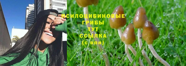 2c-b Богданович