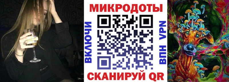 Галлюциногенные грибы Psilocybe Выборг