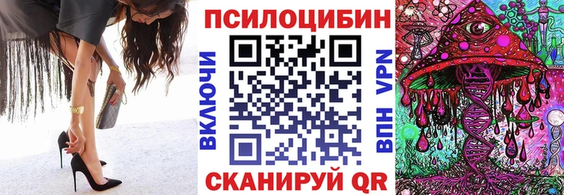 Псилоцибиновые грибы Psilocybe  Выборг 